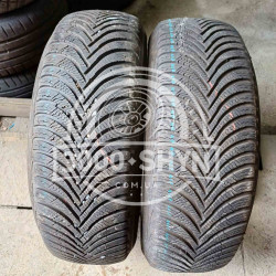 Michelin Alpin 5 195/65R15