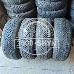Michelin  Alpin 6 225/55R17