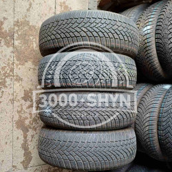 Bridgestoone Bilzzak LM005 205/60R16