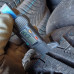 Uniroyal RAIN 215/55R17