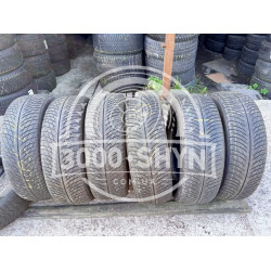 Michelin Pilot Alpin 5 SUV 225/60R17